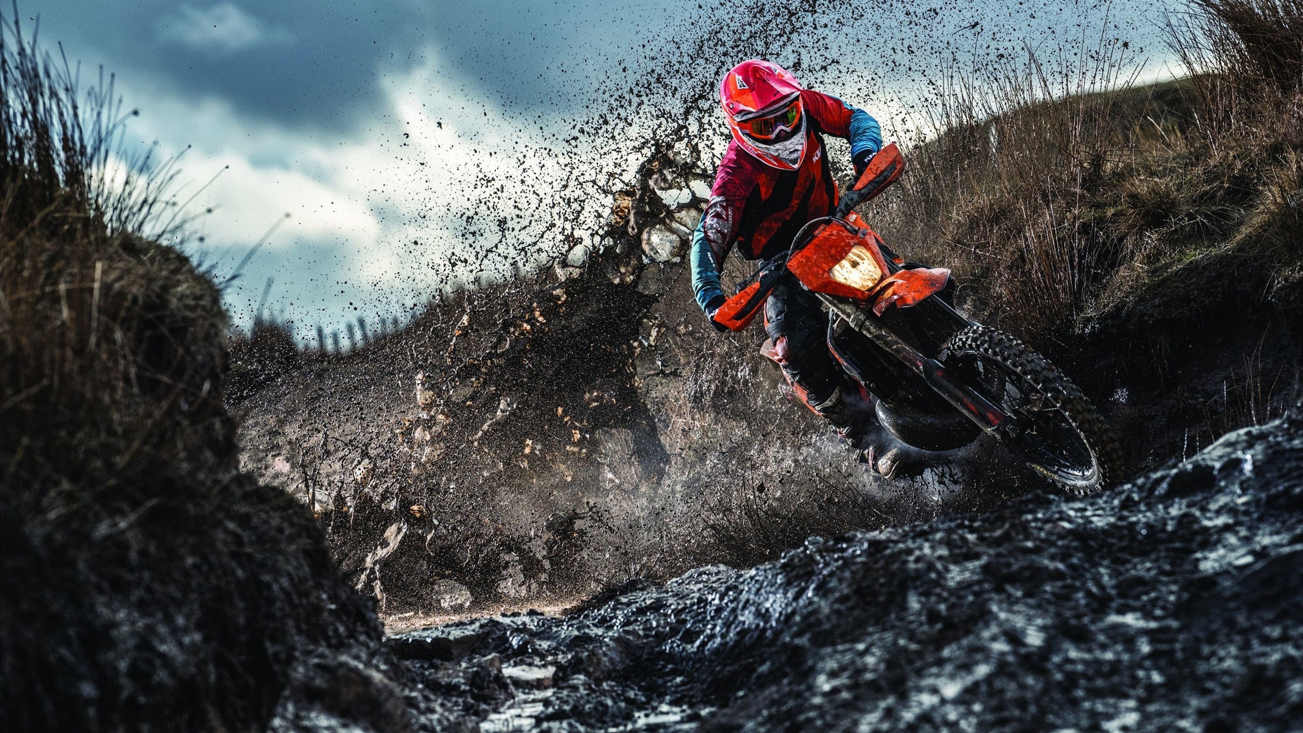 《王者荣耀》荣耀之路总决赛，万人期待冠军归来！